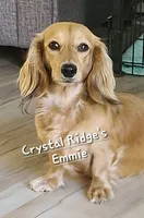 processed/c0e7dd6f-3d99-48ce-9e3c-57ddb1e31698/listing/1c4ca26f-87a0-40b4-b7f4-1c1f315891ba/87a1ca9c-0c5e-459c-8947-3ea9fd82026c