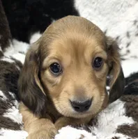 processed/c0e7dd6f-3d99-48ce-9e3c-57ddb1e31698/listing/1c4ca26f-87a0-40b4-b7f4-1c1f315891ba/9feb86a3-e2f5-44c3-bc9b-1b7633f0f570