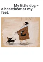 Sabastian AKC Mini longhair, a male Dachshund for sale in Alma, MI – Photo 7 of 7