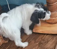 processed/c0ec1532-29d3-42d9-ab17-a4dd826c6693/listing/c7ddf4d1-8d76-41ab-bdf3-ec640a1bfb20/3a11228c-c06a-44af-acb3-ea7185fcd518