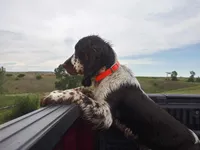 processed/c0f016b1-89fc-4aab-b9b1-9ea2379a6073/facility/0094b5e2-75e3-4b99-bd2e-85b0c7efb651