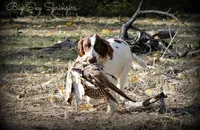 processed/c0f016b1-89fc-4aab-b9b1-9ea2379a6073/facility/03ff010d-01ed-4ae7-a313-5cd17e55ea21