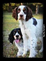 processed/c0f016b1-89fc-4aab-b9b1-9ea2379a6073/facility/05b6a9ce-fbfe-4d1c-95b4-4d642846ce62