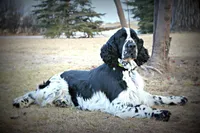 processed/c0f016b1-89fc-4aab-b9b1-9ea2379a6073/facility/306fdeda-04fe-47f0-829a-9e9dc9fa8da9