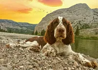 processed/c0f016b1-89fc-4aab-b9b1-9ea2379a6073/facility/8b44c4e0-b62c-4f88-86d6-06ba96ff07d3