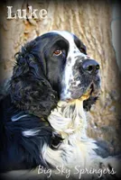 processed/c0f016b1-89fc-4aab-b9b1-9ea2379a6073/facility/8fc9b2d4-4ca6-43cf-bdee-89b0806f6728