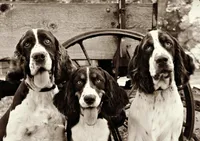 processed/c0f016b1-89fc-4aab-b9b1-9ea2379a6073/facility/b0b3c3cc-3d1b-45bc-b3a9-a2e27299a3ac