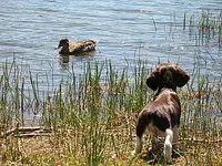 processed/c0f016b1-89fc-4aab-b9b1-9ea2379a6073/facility/bfe7ffce-0180-4355-9f33-bf098e42891e