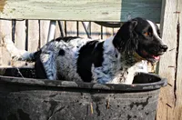 processed/c0f016b1-89fc-4aab-b9b1-9ea2379a6073/listing/6146e0db-7326-42c1-bbe3-f72a269e5eeb/79b69475-8e8d-4c55-bb39-e1170a7a9ec8