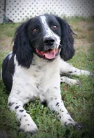 processed/c0f016b1-89fc-4aab-b9b1-9ea2379a6073/listing/6146e0db-7326-42c1-bbe3-f72a269e5eeb/7a976d46-cff5-433c-9f18-44d78d2f285b