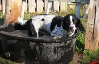 processed/c0f016b1-89fc-4aab-b9b1-9ea2379a6073/listing/6146e0db-7326-42c1-bbe3-f72a269e5eeb/d2dc18f5-ba4f-467d-9613-f0a14eec08d3