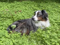 processed/c0fa04c1-080f-4c0d-8d72-a0865ff6e892/facility/160ee053-b6b8-4c44-b209-f2a9e0a38d7c