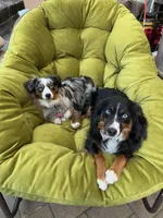 processed/c0fa04c1-080f-4c0d-8d72-a0865ff6e892/facility/1fe5e24a-56a4-4c13-a88b-54231e20a384