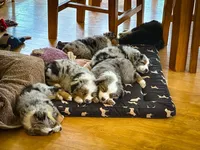 processed/c0fa04c1-080f-4c0d-8d72-a0865ff6e892/facility/20c23a04-534e-4a89-8b89-fa48452aea16