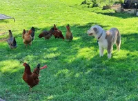 processed/c0fa04c1-080f-4c0d-8d72-a0865ff6e892/facility/643b4fa2-9290-4ef7-8c16-be0cc4deb3ab