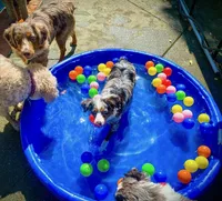 processed/c0fa04c1-080f-4c0d-8d72-a0865ff6e892/facility/a4877da7-7556-4e7d-9d01-c07ce653e58c