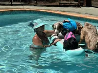 processed/c0fa04c1-080f-4c0d-8d72-a0865ff6e892/facility/ea8c1625-0881-447f-a818-e83a514104f4