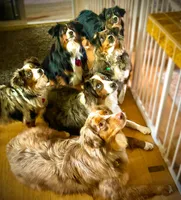 processed/c0fa04c1-080f-4c0d-8d72-a0865ff6e892/facility/f1af4182-2ee5-40ab-9a08-1a2146804b74