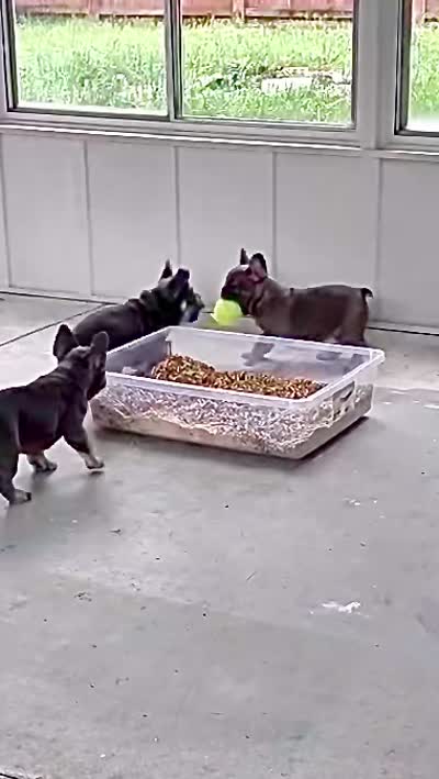 Facility video