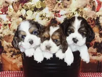 processed/c10cc111-5392-477f-bcaf-c4144e7aa1c3/facility/897e65df-76f2-42ec-8474-719d40f0161c