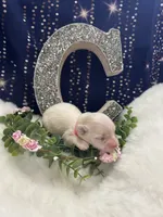 Marshmallow , a female Coton de Tulear and Maltese for sale in Middleburg, PA – 2 of 8