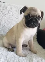 processed/c1186e35-3d51-4033-b810-c96d832cc698/listing/6370332a-5c36-4086-afa4-3a25ab6c1caa/27bf6e24-cecd-4f50-ae15-79d6d5dbeeb9