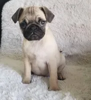 processed/c1186e35-3d51-4033-b810-c96d832cc698/listing/6370332a-5c36-4086-afa4-3a25ab6c1caa/93d39a59-7017-4ebf-a332-2edd57a38bdd