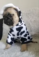 processed/c1186e35-3d51-4033-b810-c96d832cc698/listing/6370332a-5c36-4086-afa4-3a25ab6c1caa/9eb68c21-6a7d-43e9-9645-668eac1363e8