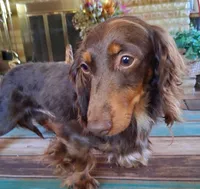 processed/c11abd47-d38c-4bd7-93a8-16ce5875895e/listing/95626542-928f-4051-9553-116e81d3673d/8015a7e8-4214-4e06-b66a-c5bd4d0ae3ef