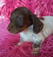 processed/c11abd47-d38c-4bd7-93a8-16ce5875895e/listing/95626542-928f-4051-9553-116e81d3673d/9489f231-0537-4d18-b008-c7335b0f7ec0