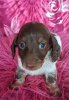 processed/c11abd47-d38c-4bd7-93a8-16ce5875895e/listing/95626542-928f-4051-9553-116e81d3673d/ae2c7301-13ee-41cb-8e24-f5dde0c3af62