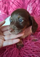 processed/c11abd47-d38c-4bd7-93a8-16ce5875895e/listing/95626542-928f-4051-9553-116e81d3673d/bb289465-e8dd-44a4-bb6c-84db4700fdd1