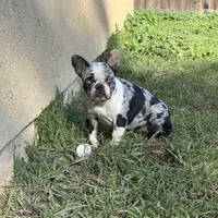 processed/c11c7552-c1e8-4f5c-b76c-4c3cc2f2b1ce/facility/1619a76e-d6aa-445f-933a-eb12a0e69f4a