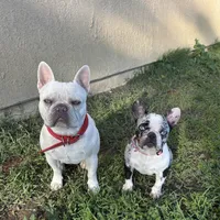 processed/c11c7552-c1e8-4f5c-b76c-4c3cc2f2b1ce/facility/7fb957ee-19e3-45da-9278-13cb9f469dd6