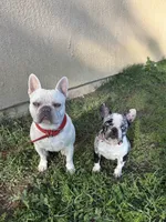 processed/c11c7552-c1e8-4f5c-b76c-4c3cc2f2b1ce/facility/7fb957ee-19e3-45da-9278-13cb9f469dd6