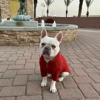 processed/c11c7552-c1e8-4f5c-b76c-4c3cc2f2b1ce/facility/bc72f584-3c2f-4421-a019-1cfc6ac646d8