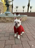 processed/c11c7552-c1e8-4f5c-b76c-4c3cc2f2b1ce/facility/bc72f584-3c2f-4421-a019-1cfc6ac646d8