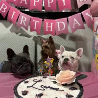 processed/c11c7552-c1e8-4f5c-b76c-4c3cc2f2b1ce/facility/cb7024db-d36f-44a0-bd08-9956866cd0ca