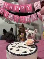 processed/c11c7552-c1e8-4f5c-b76c-4c3cc2f2b1ce/facility/cb7024db-d36f-44a0-bd08-9956866cd0ca