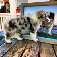 processed/c12f8391-0ccb-4cca-b31e-ecda5d5352b0/facility/07bcaebc-7d21-40ab-bf27-5919ee04203d