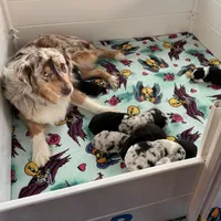 processed/c12f8391-0ccb-4cca-b31e-ecda5d5352b0/facility/39773ca3-cbe2-4654-96b9-c25543983068