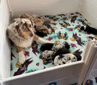 processed/c12f8391-0ccb-4cca-b31e-ecda5d5352b0/facility/39773ca3-cbe2-4654-96b9-c25543983068