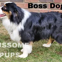 processed/c12f8391-0ccb-4cca-b31e-ecda5d5352b0/facility/5cc1e72d-4566-49ff-96de-2ec47f9b7cb0