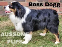 processed/c12f8391-0ccb-4cca-b31e-ecda5d5352b0/facility/5cc1e72d-4566-49ff-96de-2ec47f9b7cb0