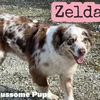 processed/c12f8391-0ccb-4cca-b31e-ecda5d5352b0/facility/646635ba-0a49-4e04-8171-a62b5a2186ae