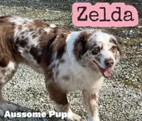 processed/c12f8391-0ccb-4cca-b31e-ecda5d5352b0/facility/646635ba-0a49-4e04-8171-a62b5a2186ae