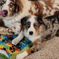 processed/c12f8391-0ccb-4cca-b31e-ecda5d5352b0/facility/76870558-ea61-4207-9939-929b8eea045c