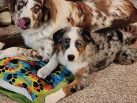 processed/c12f8391-0ccb-4cca-b31e-ecda5d5352b0/facility/76870558-ea61-4207-9939-929b8eea045c