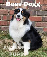 processed/c12f8391-0ccb-4cca-b31e-ecda5d5352b0/facility/7e138a9d-6285-4ce2-8ec3-1326a2590be0