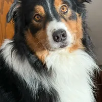 processed/c12f8391-0ccb-4cca-b31e-ecda5d5352b0/facility/c64b3b70-cb7c-4955-afd5-91f2ad829c02